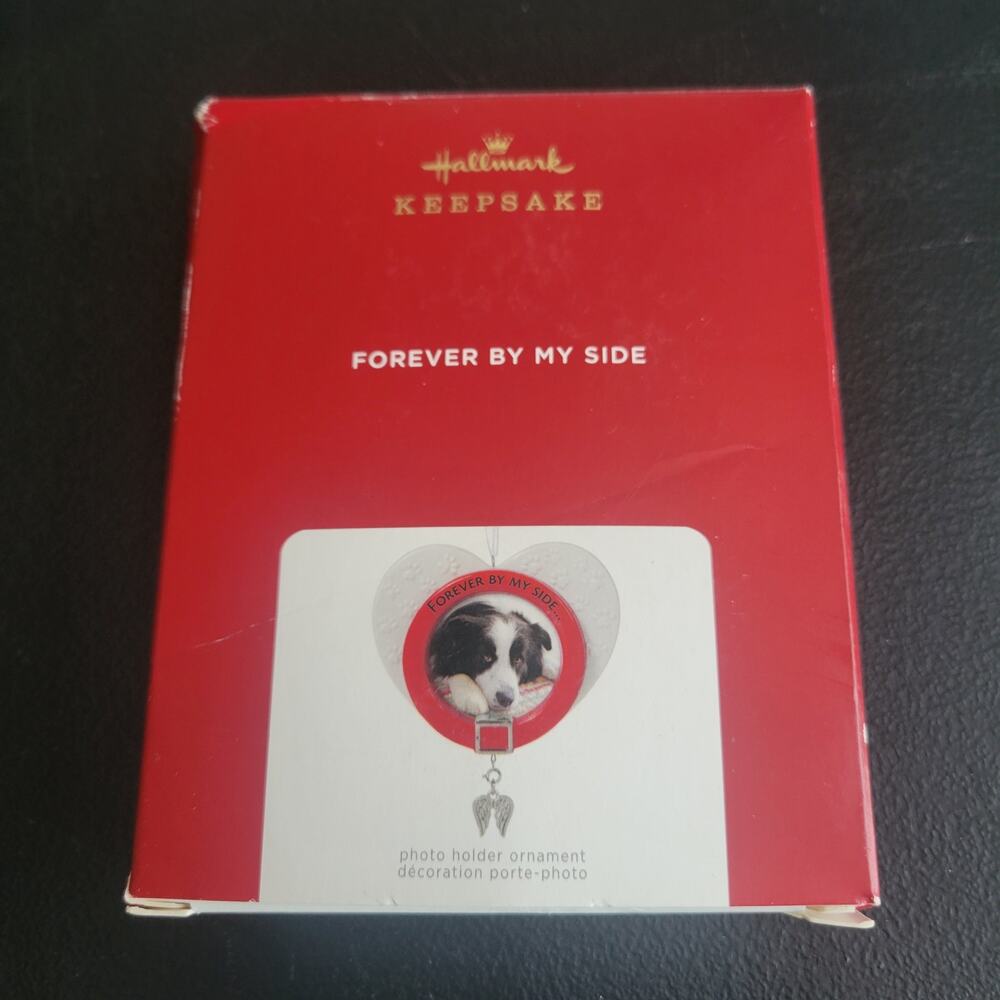 Forever By My Side Hallmark 2021 Keepsake Porcelain Frame Pet Ornament